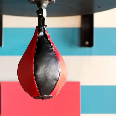 스칸딕 파시 호텔 4*